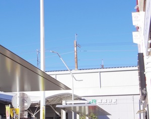 22F00953-C219-4A7C-9462-E92DD86D0778.jpeg
