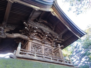 2553268D-2AD8-454B-8A0F-0B3DE51FCBE4.jpeg
