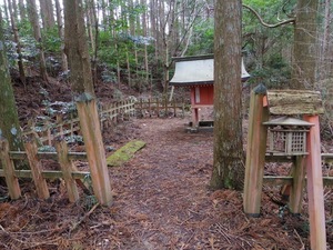 43169278-79EA-4785-9668-35464B691795.jpeg