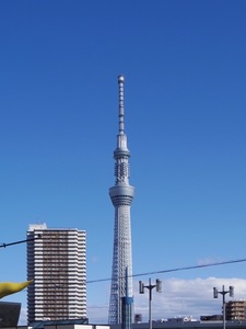 4348DEBD-C97A-41D7-9DC5-354ED884F5CA.jpeg