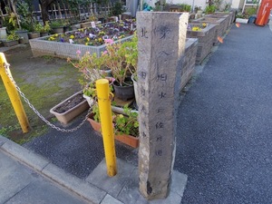 43F69422-9225-456A-8048-483091524313.jpeg