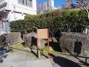 46C00CC7-599F-43DC-9687-21A5C3DC9AC1.jpeg
