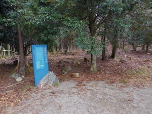 5A56408F-19E8-41AC-B922-8969BB0ED2BD.jpeg