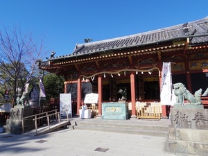 64A3A424-0477-4F6F-9ACB-D6163F99F576.jpeg