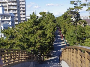 E904FF0E-EA36-48BC-8F9C-B9557B081312.jpeg