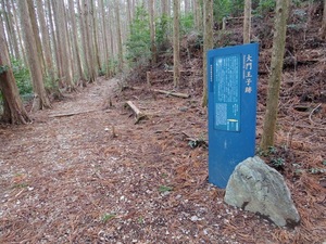 E922D22C-932D-468F-87A0-3003ADD28090.jpeg